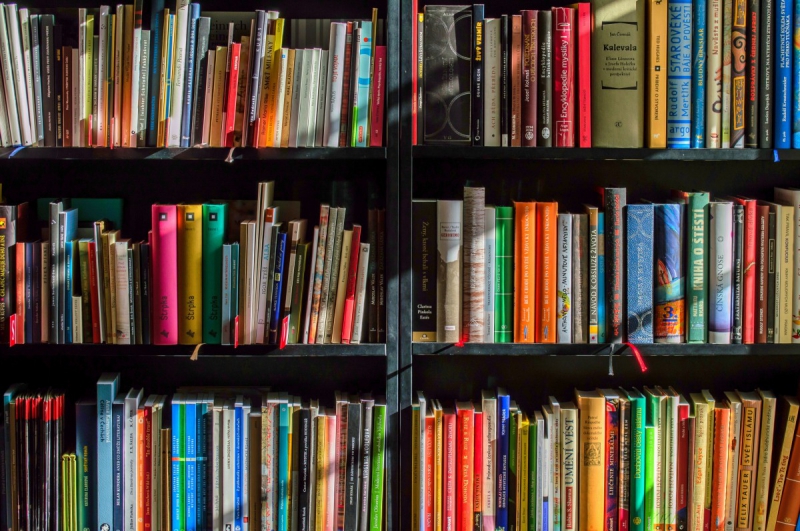 boutique-LA GAUDE-min_books_bookstore_book_reading_shop_writer_sale_books_read-822866